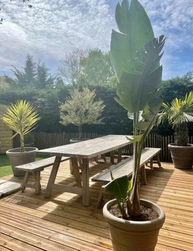 Cottage Cosy Bassin D'arcachon