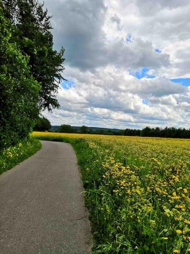 Apartamento Ferienwohnung Kathis Eifelblick