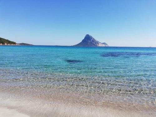 Vacanze A Monte Petrosu