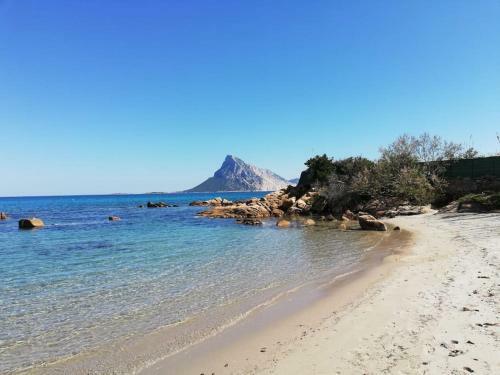 Vacanze A Monte Petrosu