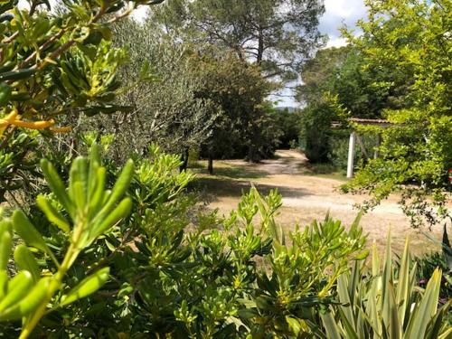 Bed & Breakfast Domaine Sagittaires