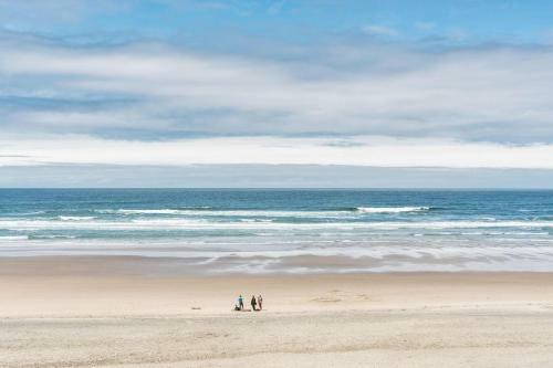 Pacific St 2 Sf 2 Alpine Shores