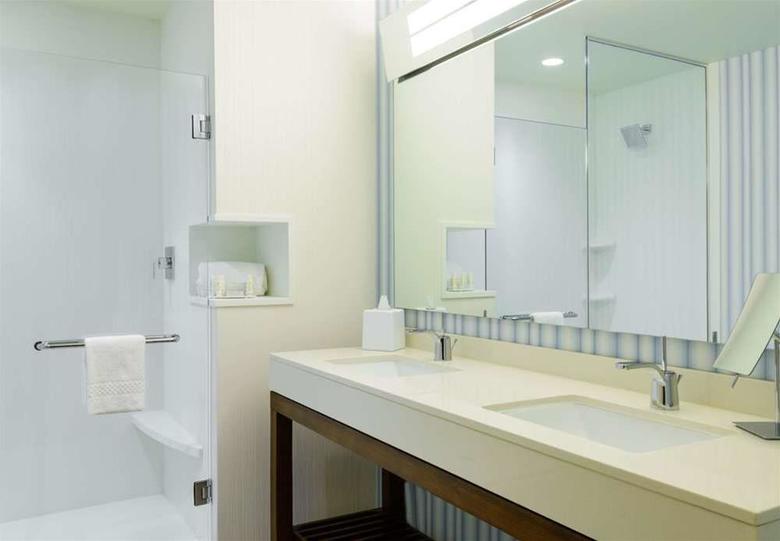 Hotel Courtyard By Marriott Buffalo Downtown/canalside