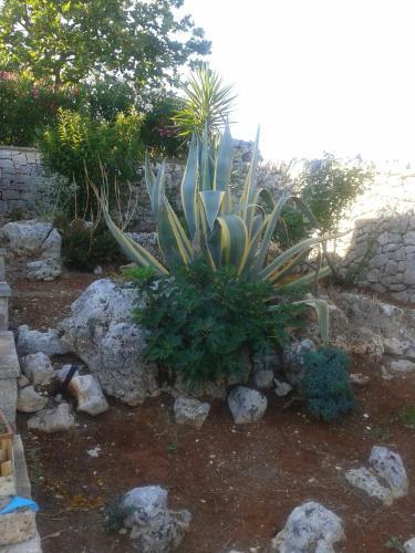 Trulli Beltramonto