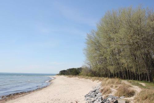 Apartamento Haus S�dperd Wohnung D�nenrose