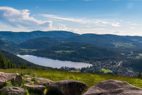 Apartamento Kuckucksnest Haus Titisee