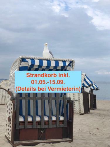 Apartamento Exklusive-ferienwohnung-mit-terrasse