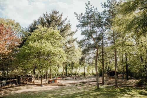 Glampingzelt Fuchsbau