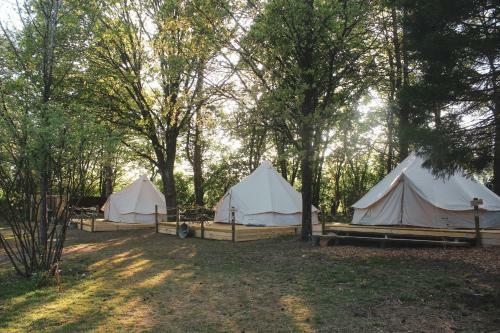 Glampingzelt Dachsburg