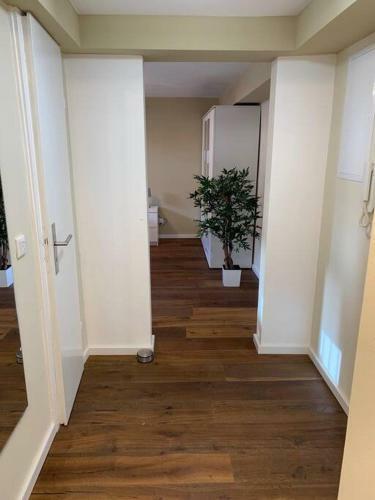 Rhein Apartment Souterrain Business