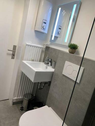 Rhein Apartment Souterrain Business