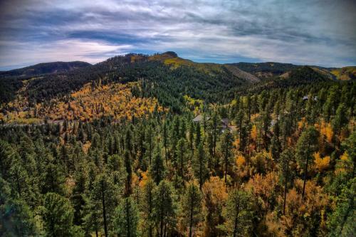 Wolf Ridge