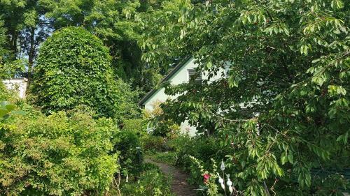Apartamento Ferienwohnung Ostseestern Fewo Nr 01