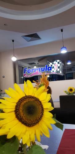 Formula 1 Motel