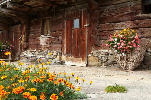 Hotel Albergo Riglarhaus
