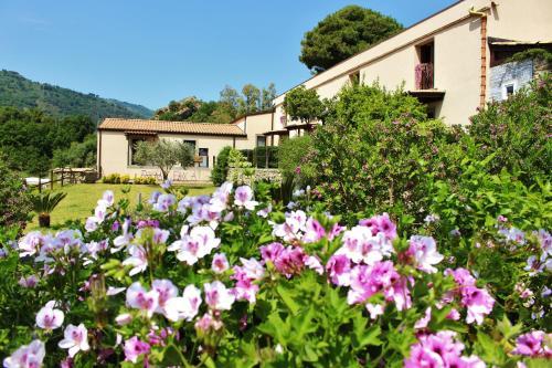 Agroturismo Edon�