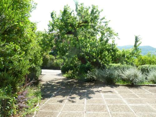 Agroturismo La Vecchia Quercia