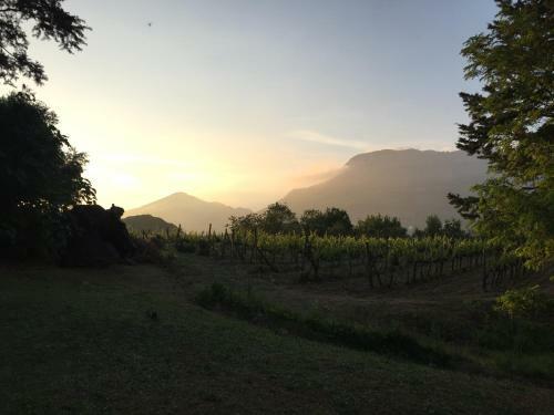 Agroturismo La Vecchia Quercia