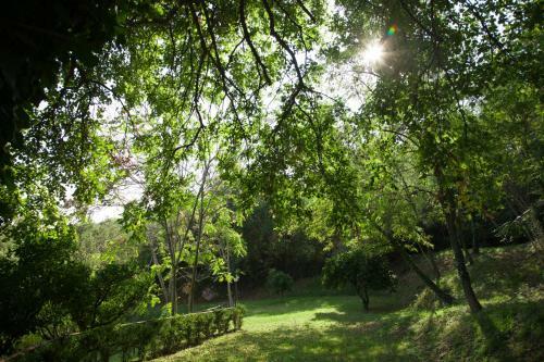Agroturismo La Vecchia Quercia