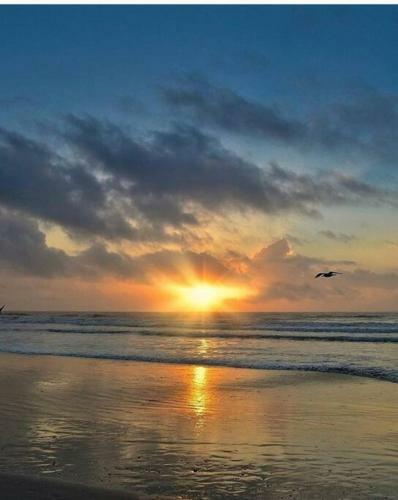 Apartamento Best View In Galveston