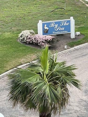 Apartamento Best View In Galveston