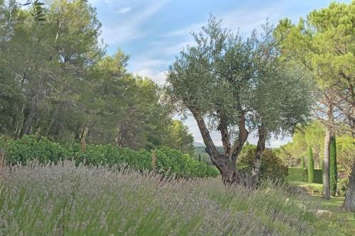 Apartamento Appartement De Charme Avec Terrasse Trop�zienne / Rooftop