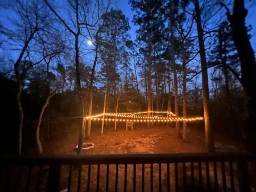 2 Bdrm Treehouse Hideout- Lake Conroe With Boat Ramp