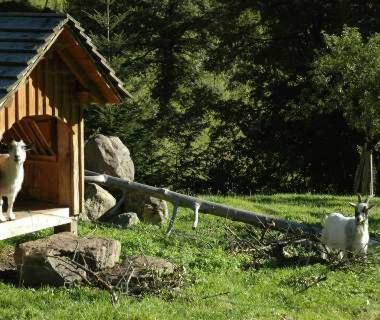 Apartamento Haldenschwarzhof