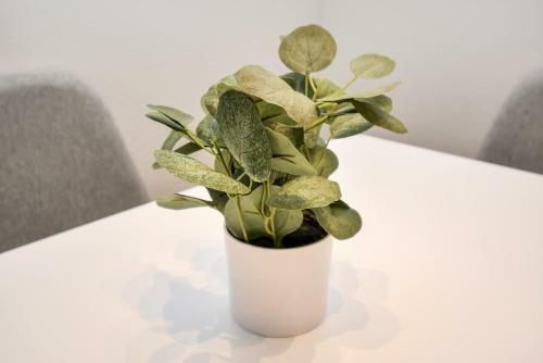 Apartamento Trendy Boutique (smart Hub)