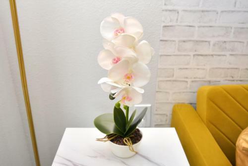 Apartamento Trendy Boutique (smart Hub)
