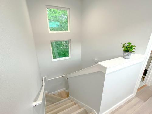 Modern Nature - 2 Story Downtown Delight