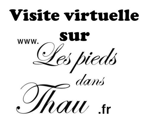 Villa Les Pieds Dans Thau