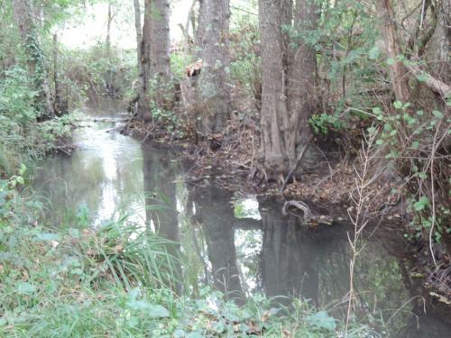 Havre De D�tente Au Doux Son De L'eau Qui Coule