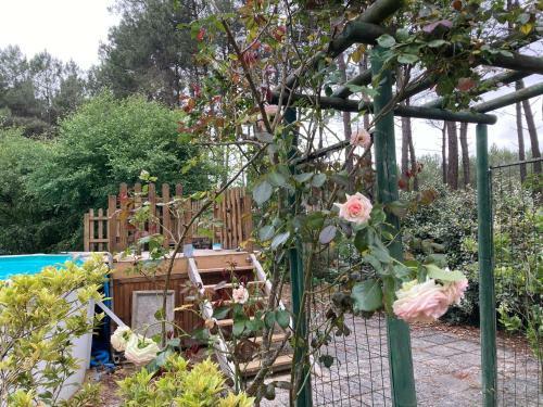 Maison Sur La Ligne Droite Des Hunaudi�res