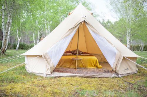 Le Rep�re Du Pin Sec - Glamping & Surfcamp