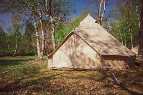 Le Rep�re Du Pin Sec - Glamping & Surfcamp