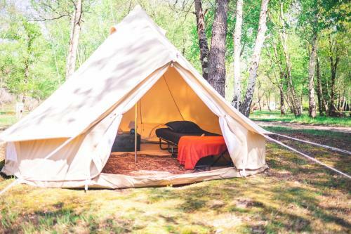 Le Rep�re Du Pin Sec - Glamping & Surfcamp