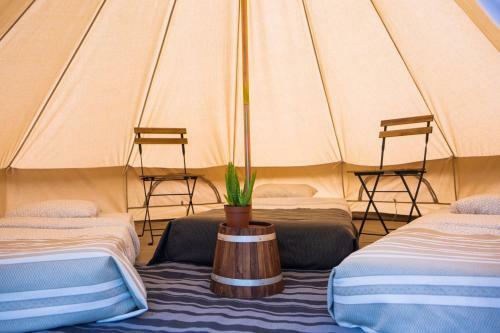 Le Rep�re Du Pin Sec - Glamping & Surfcamp
