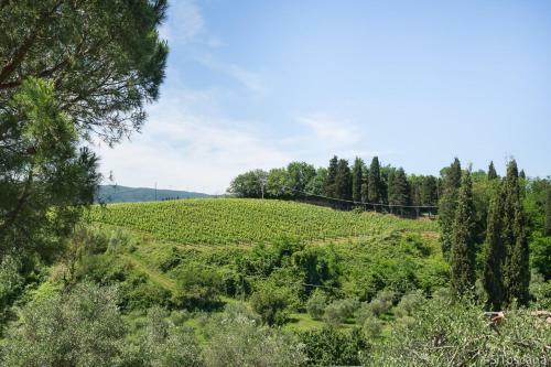 Agroturismo Agriturismo Terre Di Toscana