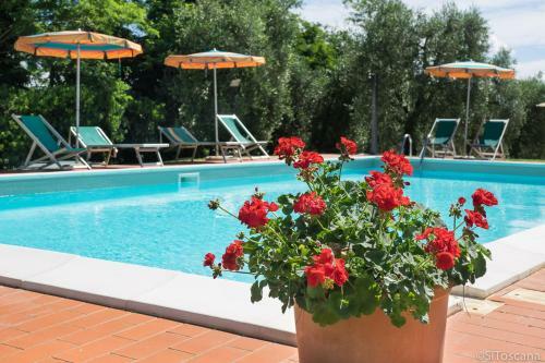 Agroturismo Agriturismo Terre Di Toscana