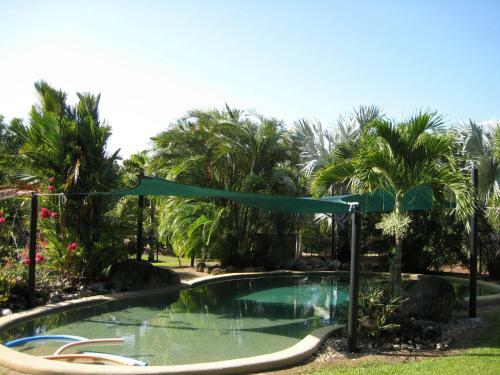 Daintree Wild Bed & Breakfast