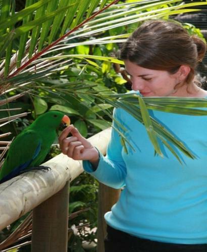 Daintree Wild Bed & Breakfast