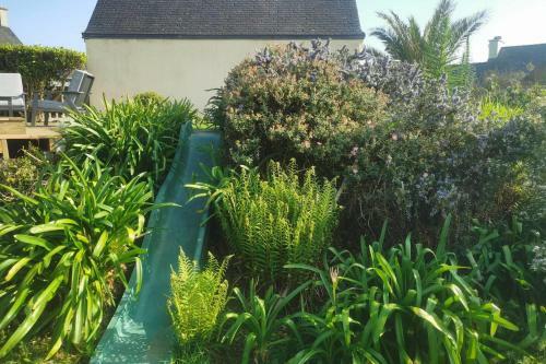 Les Mouettes - Bright Breton House Sea View With Spa - 4 Pers