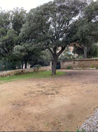 Apartamento Appartement Bas De Villa