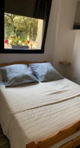 Apartamento Appartement Bas De Villa