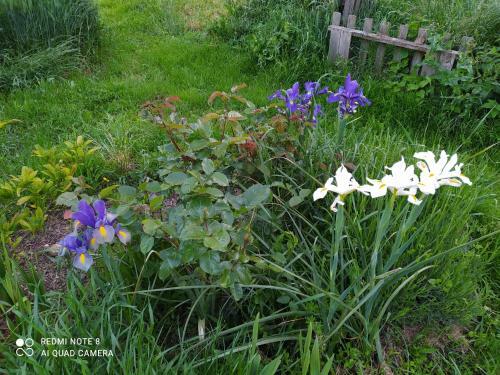 Bed & Breakfast La Ferme Des Cerisiers