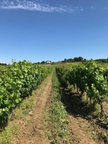 Bed & Breakfast Domaine De Peilhan