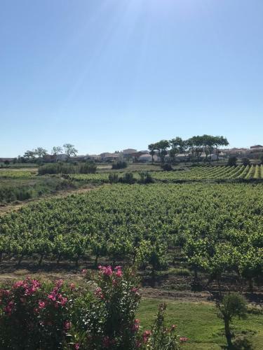 Bed & Breakfast Domaine De Peilhan