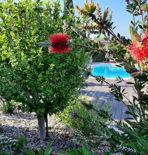 La Cabane De Mes R�ves