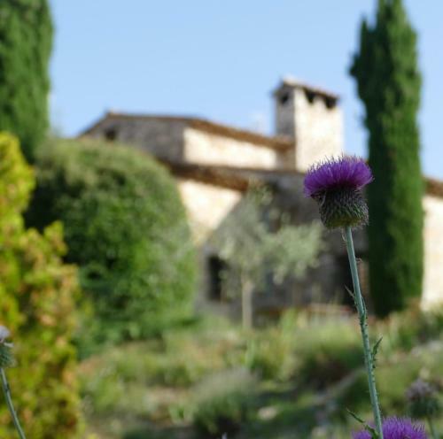 Hostal Domaine De La Xavoli�re